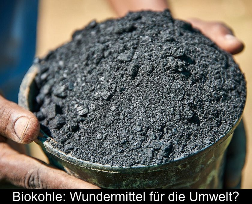 Biokohle: Wundermittel Für Die Umwelt?