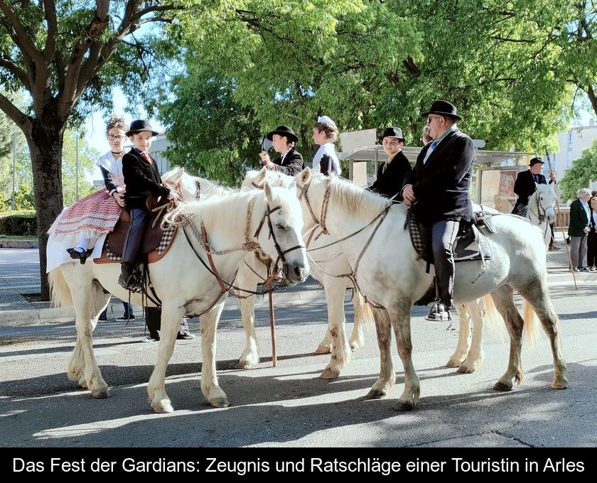 Das Fest Der Gardians: Zeugnis Und Ratschläge Einer Touristin In Arles