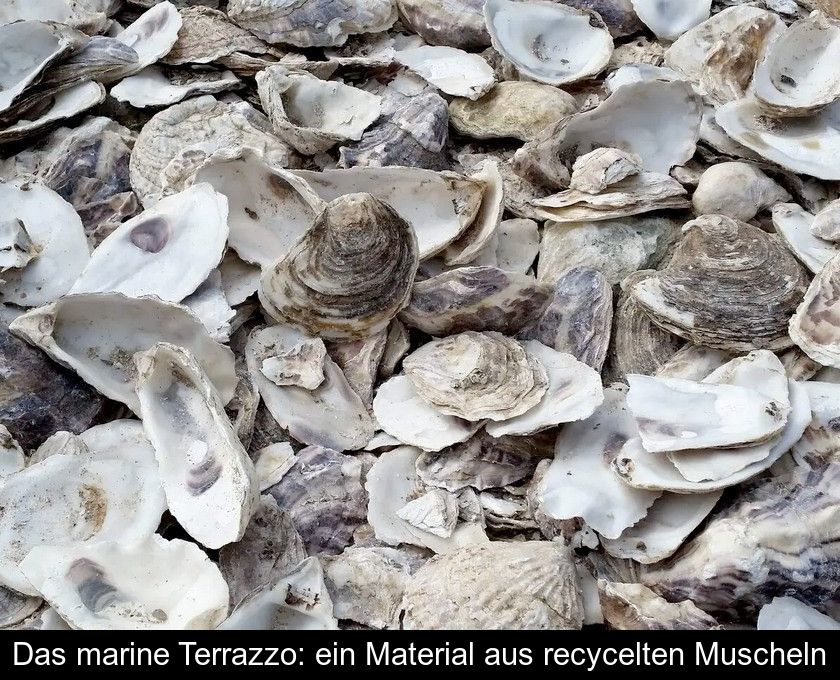 Das Marine Terrazzo: Ein Material Aus Recycelten Muscheln