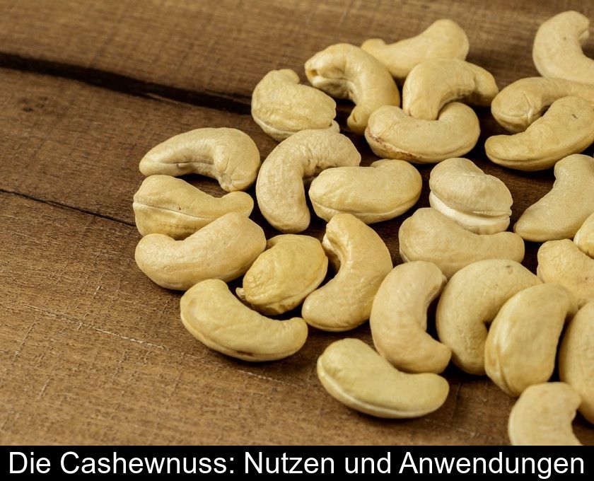 Die Cashewnuss: Nutzen Und Anwendungen