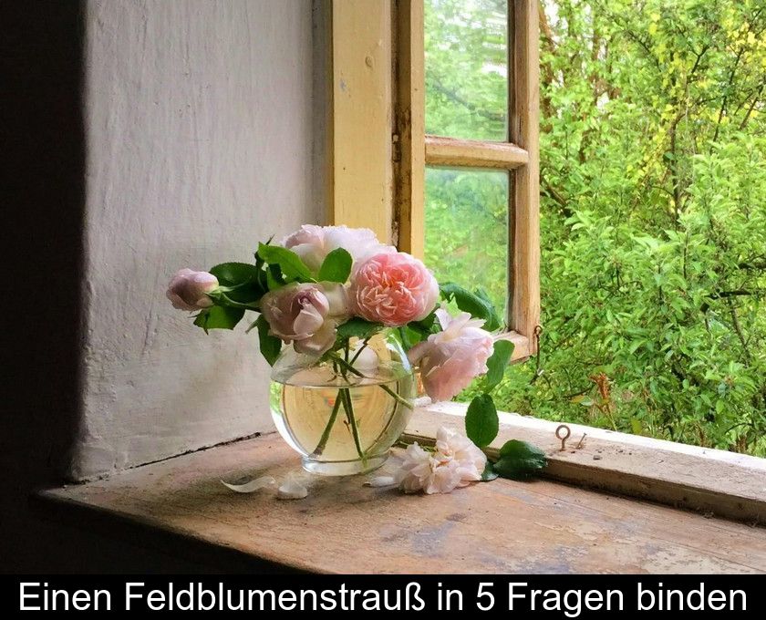 Einen Feldblumenstrauß In 5 Fragen Binden