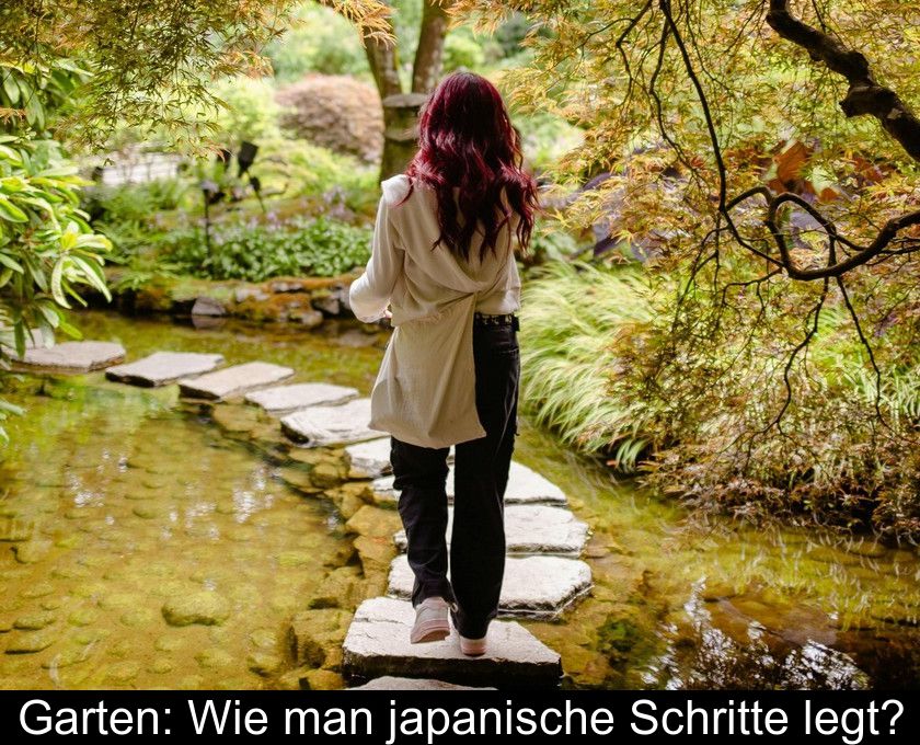 Garten: Wie Man Japanische Schritte Legt?