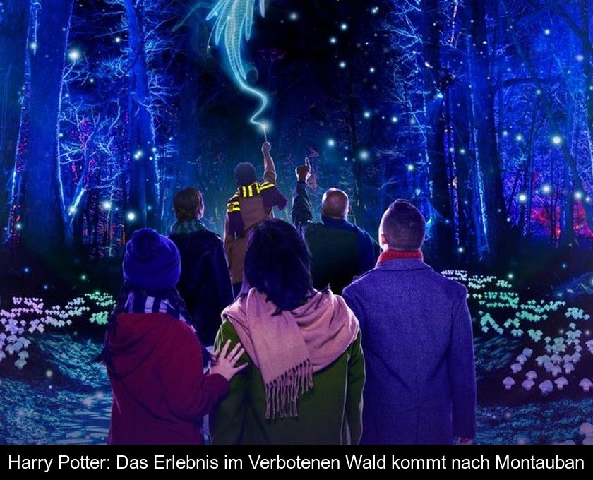 Harry Potter: Das Erlebnis Im Verbotenen Wald Kommt Nach Montauban