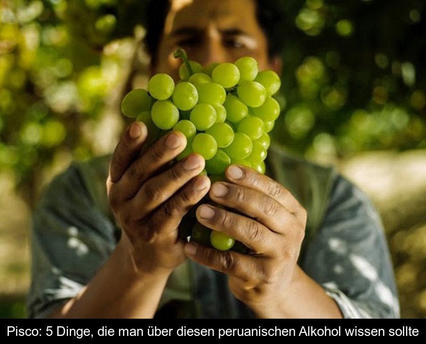 Pisco: 5 Dinge, Die Man über Diesen Peruanischen Alkohol Wissen Sollte