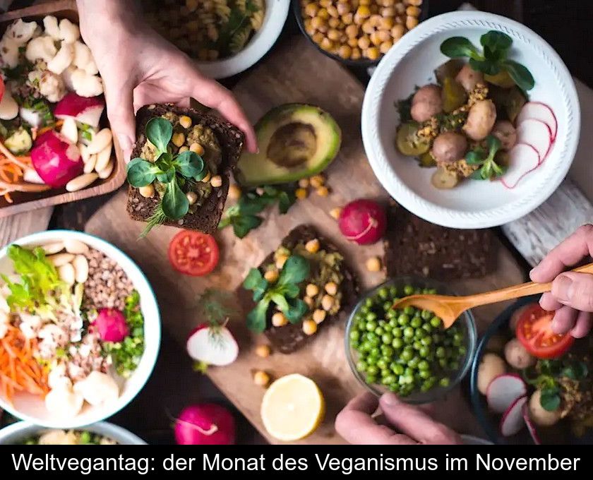 Weltvegantag: Der Monat Des Veganismus Im November