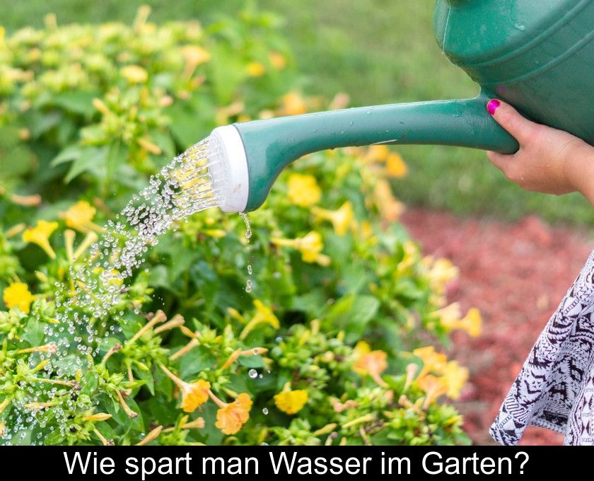 Wie Spart Man Wasser Im Garten?