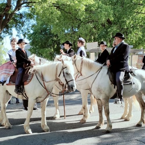 Das Fest der Gardians: Zeugnis und Ratschläge einer Touristin in Arles