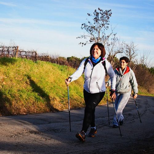 Oktober Rosa: Sport und Brustkrebs in 5 Fragen