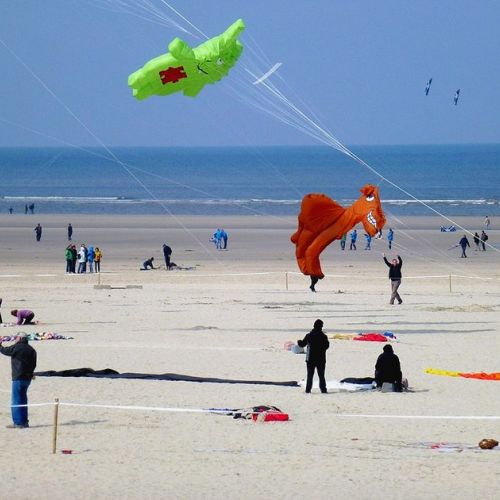 Opalküste: Was kann man in Berck-sur-Mer besichtigen?