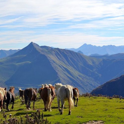 Urlaub in den Bergen: hin zu einem Vier-Jahreszeiten-Tourismus